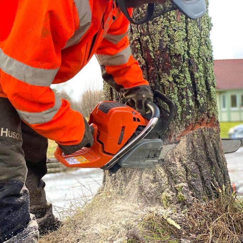 Bästa firman i Kättilstorp inom Trädröjning